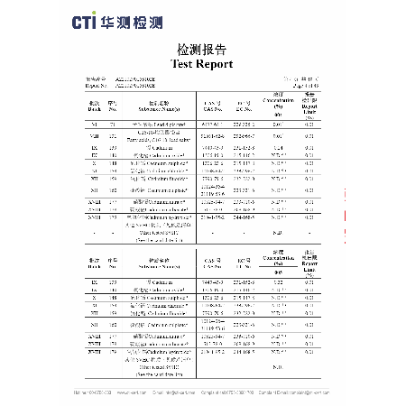 Test Report