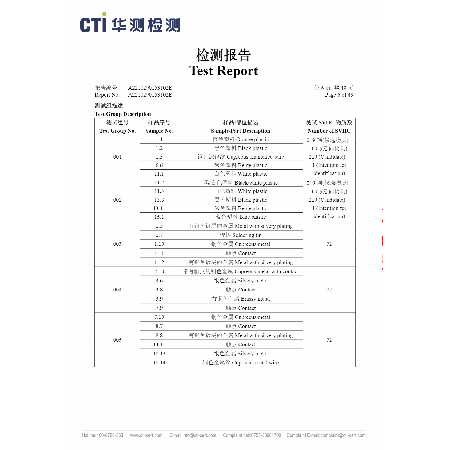 Test Report