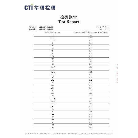 Test Report