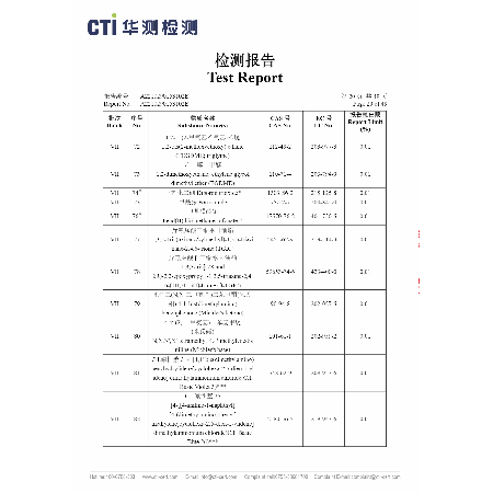 Test Report