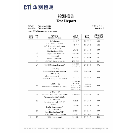 Test Report