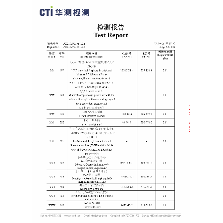 Test Report